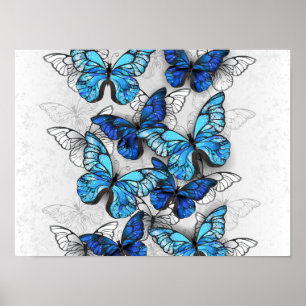 Poster Composition de papillons blancs et bleus