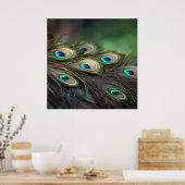 Poster Composition de plumes de paon brillantes (Cuisine)