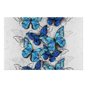 Poster Composition des papillons blancs et bleus