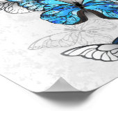 Poster Composition des papillons blancs et bleus (Coin)