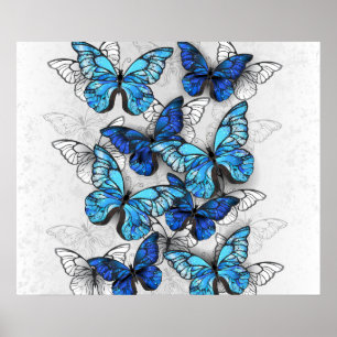 Poster Composition des White and Blue Butterflies