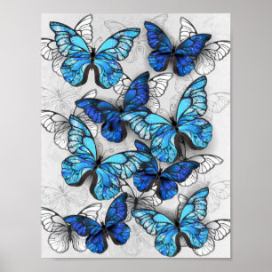 Poster Composition des White and Blue Butterflies