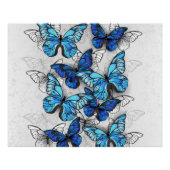 Poster Composition des White and Blue Butterflies (Devant)