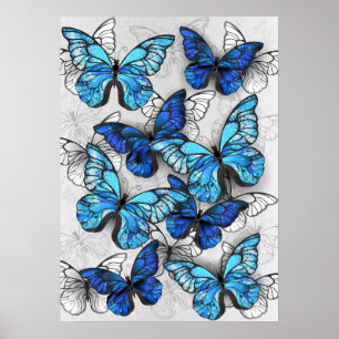 Poster Composition des White and Blue Butterflies