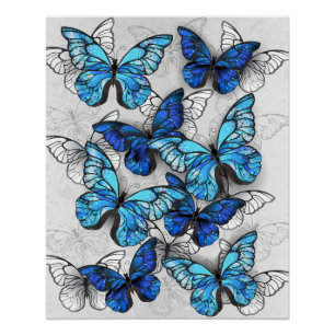 Poster Composition des White and Blue Butterflies