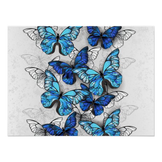 Poster Composition des White and Blue Butterflies (Devant)