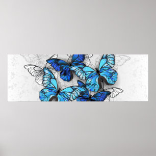 Poster Composition des White and Blue Butterflies