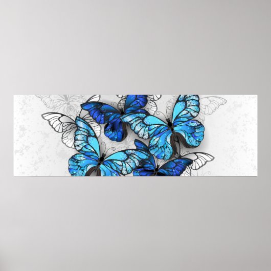 Poster Composition des White and Blue Butterflies (Devant)