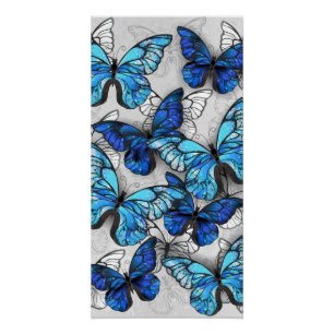 Poster Composition des White and Blue Butterflies
