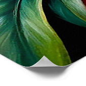 Poster Composition élégante de fleurs d'orchidées roses e (Coin)