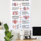 Poster Comprendre la circulation sanguine : 6 étapes clés (Bureau à domicile)