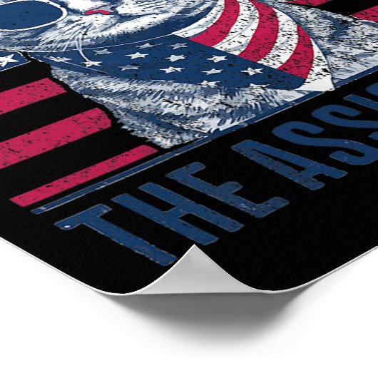 Poster Comprendre L'Ignment Kamala Harris Chat Sans Enfan (Coin)