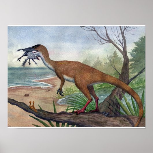 Poster Compsognathus (Devant)
