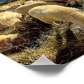 Poster Comptage des feuilles (Coin)