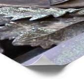 Poster Comté d'Athena (Coin)