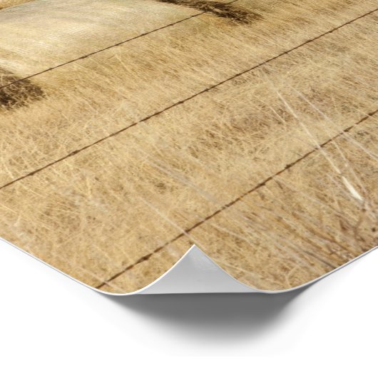 Poster Comté de Crook, Hay Bales (Coin)