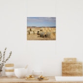 Poster Comté de Crook, Hay Bales (Cuisine)