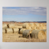 Poster Comté de Crook, Hay Bales (Devant)