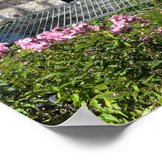 Poster Comté de Gartan Mountain Donegal Irlande Europe (Coin)