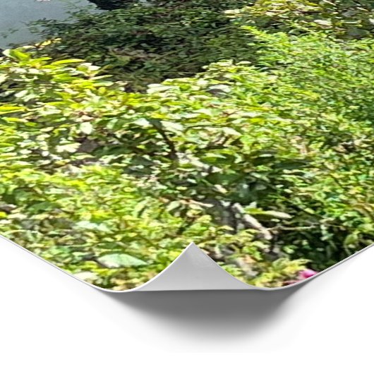 Poster Comté de Gartan Mountain Donegal Irlande Europe (Coin)