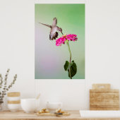 Poster Comté de Jeff Davis, Texas (Cuisine)