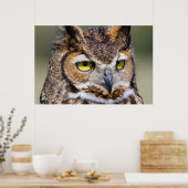 Poster Comté de Kendall, Texas. Chouette à grande corne (Cuisine)