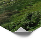 Poster Comté de Kerry, Irlande (Coin)