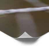 Poster Comté de Kinney, Texas. Golden cheeked warbler (Coin)