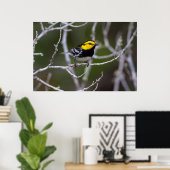 Poster Comté de Kinney, Texas. Golden cheeked warbler (Bureau à domicile)
