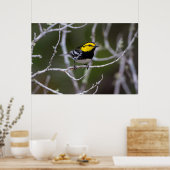 Poster Comté de Kinney, Texas. Golden cheeked warbler (Cuisine)