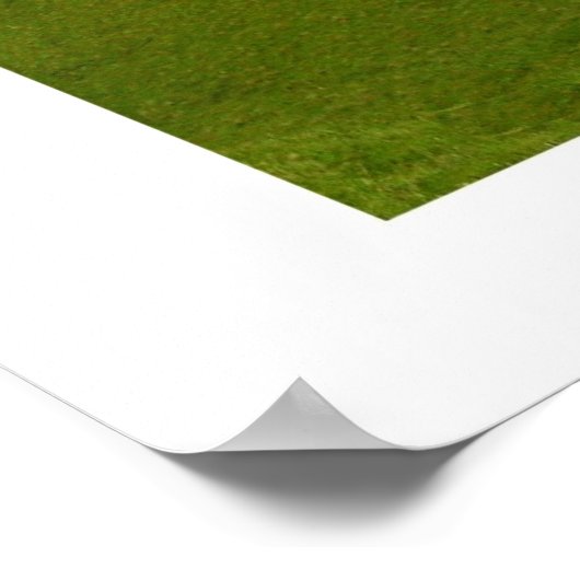 Poster Comté de Marin, Californie (Coin)