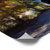 Poster Comté de Narrow Covered Bridge Parke, Indiana (Coin)