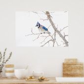 Poster Comté de Wichita, Texas. Blue Jay (Cuisine)