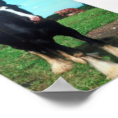 Poster Comté debout (Coin)