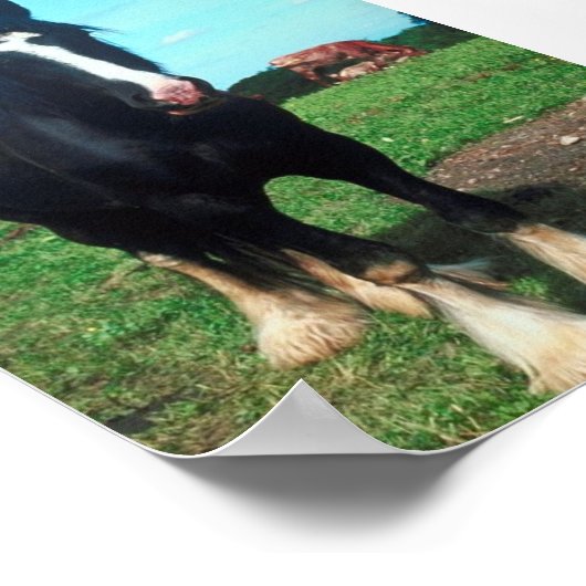 Poster Comté debout (Coin)