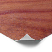 Poster Comtesse Therese Brunswick (Coin)