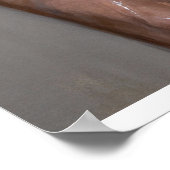 Poster Concealed Distress in Light and Shadow (Coin)