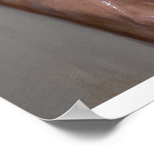 Poster Concealed Distress in Light and Shadow (Coin)