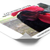 Poster Concentration (Coin)