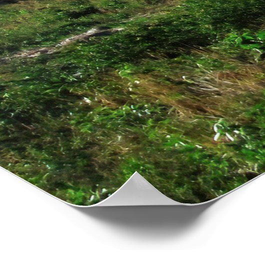 Poster Concepción Volcan (Coin)