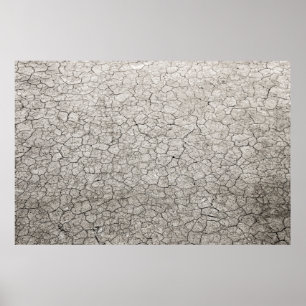 Poster Concept mondial du vermifuge - la terre brûlée fis