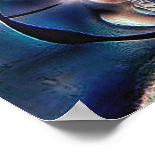 Poster Conception (Coin)