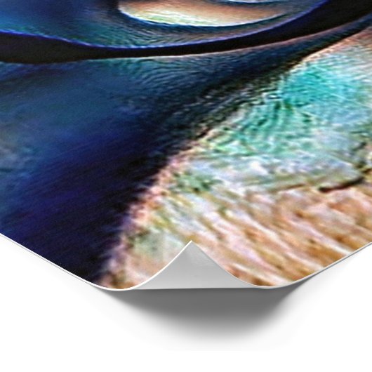 Poster Conception (Coin)