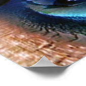 Poster Conception (Coin)