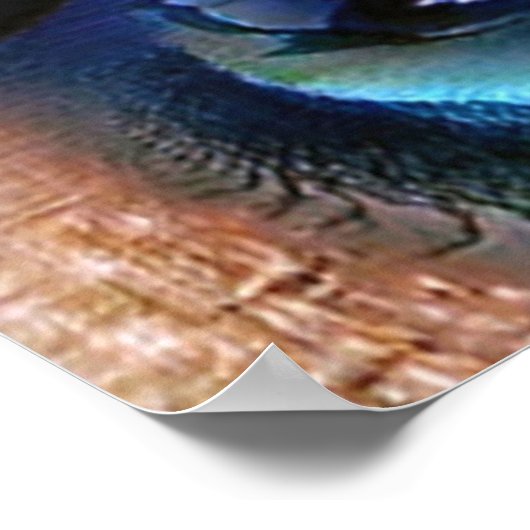 Poster Conception (Coin)