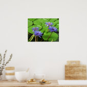 Poster Conception botanique florale de nénuphar tropical (Cuisine)