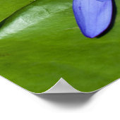 Poster Conception botanique florale de nénuphar tropical (Coin)