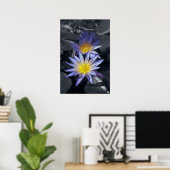 Poster Conception botanique florale de nénuphar tropical (Bureau à domicile)