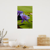 Poster Conception botanique florale de nénuphar tropical (Cuisine)