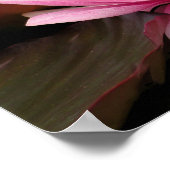 Poster Conception botanique florale de nénuphar tropical (Coin)